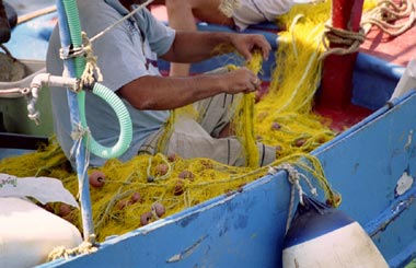 Photo Card - Fishing Boat - 1 pc
