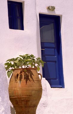 Photo Card - Pot - 1 pc